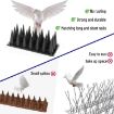 20pcs/Box 30cm 3 Rows Spikes Plastic Bird Repellent Spikes - Brown - 6