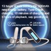 WEKOME Beluga G1 PhanWing True Wireless Earphones (Black) - 3