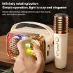 WEKOME WD-03 Meytang Karaoke Wireless Bluetooth Speaker - Black - 5