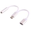 USB-C Male to 3.5mm Female Audio Adapter - Silver - 1