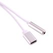 USB-C Male to 3.5mm Female Audio Adapter - Silver - 2