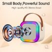 Outdoor Wireless Karaoke Speaker with Dual Mic Blue - 3