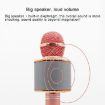 Metal Handheld KTV Karaoke Bluetooth Microphone - High Sound Quality - 4