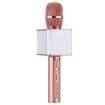 SDRD SD-08 Double Speakers Karaoke Microphone (Rose Gold) - 1