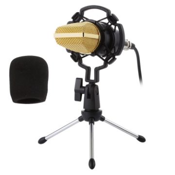 BM-700 USB Condenser Microphone - Professional Quality - 1