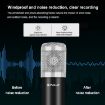 PULUZ Studio Broadcast Singing Microphone Kit - Silver - 5