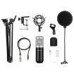 PULUZ Studio Broadcast Singing Microphone Kit - Silver - 8