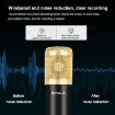 PULUZ Studio Broadcast Professional Singing Microphone Kit (Gold) - 5