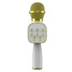 DS813 Live Wireless Bluetooth Microphone - Yellow - 1