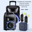 Wireless Head-Mounted Condenser Microphone - Anti-Howling Loudspeaker - 5