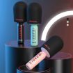 Lenovo ThinkPlus M1 Wireless Handheld Microphone Karaoke Speaker - 2