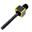 Interview Microphone Logo Flag Station - Triangular Blue - 5