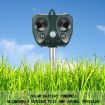 Solar Ultrasonic Animal Repeller: Mouse, Bird, Cat, Dog, Fox Repellent - 1