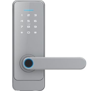 C89 Silver TUYA Smart Fingerprint Password Indoor Door Lock - 1