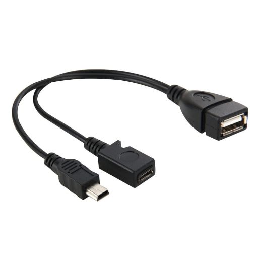 Mini USB AM + Micro 5 Pin AF to USB 2.0 Female Cable, 20cm - 1