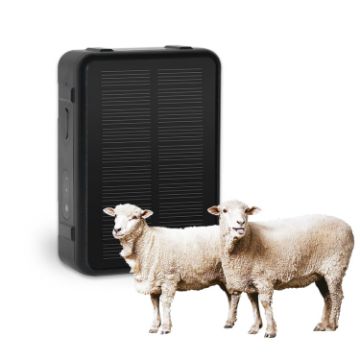 V44 GPS Tracker for Cattle & Sheep - Solar Energy, Waterproof - 1
