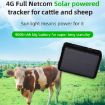 V44 GPS Tracker for Cattle & Sheep - Solar Energy, Waterproof - 2