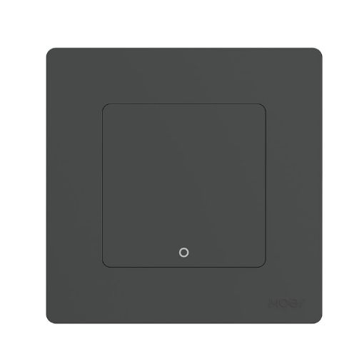 Tuya ZigBee Smart Wall Switch EU Plug 1 Way Gray Scene Casual - 1