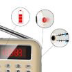 Y-619 Red FM/AM Mini Radio MP3 Player with LED & TF/SD Support - 5