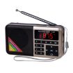 Gold Bluetooth Card Radio Digital FM Player Y-509FM (No Solar Panel) - 1