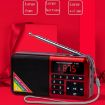 Y-509FM Bluetooth Card Radio Digital FM Player, No Solar Panel, Blue - 5