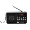 Black L-938 MP3 Player with FM, SD/MMC Support, AUX & Earphone-out - 1