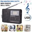 CS-106 9KHZ Digital Demodulation Stereo Radio Receiver - 6