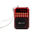 Rechargeable Red FM Radio Speaker with USB/TF/Music MP3 Player - 2