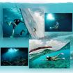PULUZ 0.7X-0.8X Fisheye Wide Angle Dome Port Lens for 67mm Housing - 6