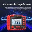 ANENG MH11 High Voltage Digital Insulation Tester (Green) - 6