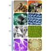 7" 2000X Microbial Cell Microscope Digital Magnifying Glass - 9