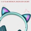 AKZ-022 Pink Cat Ear LED Headset with USB + 3.5mm & Mic - 3