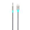 TOTU AD-8 USB-C to 3.5mm AUX Male Audio Adapter Cable - 1