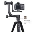 YELANGU 360 Gimbal Tripod Head for DV & SLR Cameras (Black) - 5
