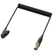Coiled 1.5m D-Tap to Mini XLR 4 Pin Female Power Adapter Cable - 4