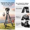 BEXIN RK294 Black Portable Collapsible Aluminum Camera Tripod - 2