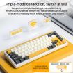 AULA F65 Mechanical Keyboard: 67 Keys, RGB, 3 Modes, Grey-Purple Axis - 4