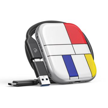 ORICO-H5 256GB Mondrian-Inspired 2.5" Type-C Portable SSD - 1