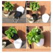 Self-Watering Wall Planters - Blue, 11x8x10.5cm Resin Pots - 6