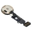iPhone 8 Home Button Flex Cable, No Fingerprint (Black) - 5