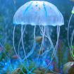 Silicone Fluorescent Jellyfish Aquarium Decoration 5*17cm (Blue) - 2
