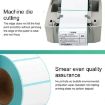 800 Sheets Self-adhesive 80mm x 40mm Thermal Barcode Labels - 4