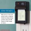 SONY FR1/FT1 Digital Camera Battery Charger (Black) - 4