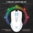 ONIKUMA CW905 Wireless Mouse 2.4G RGB Lighting Grey White - 3