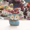 Ceramic Fox Succulent Thumb Pot, Random Color (No Plants) - 4