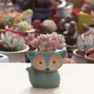 Ceramic Fox Succulent Thumb Pot, Random Color (No Plants) - 5