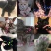 Silicone Cat Nail Caps XS, 20 PCS - Red Pet Nail Protectors - 4