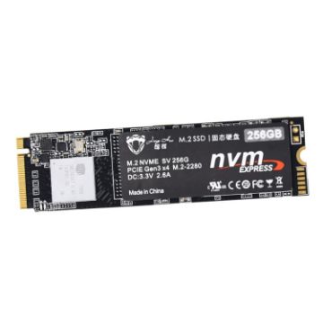 JingHai 1TB M.2 PCIe NVMe High-Speed SSD for Notebook/Desktop - 1