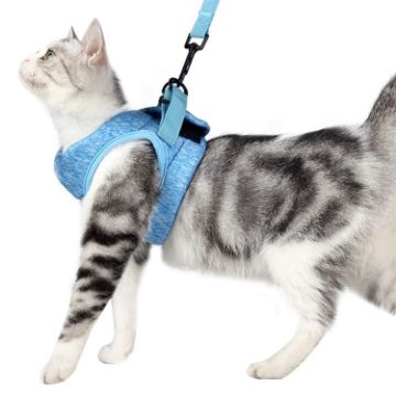 Sky Blue Cat Chest Harness and Leash, Size: L - 1
