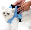 Pink Cat Leash Pet Chest Harness, Size L - 4